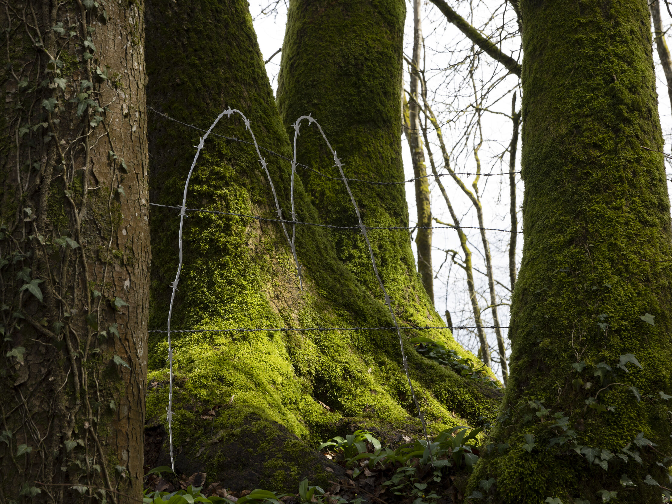Ursula Rutishauser, WARTE MAL, 2024, Foto: Gina Folly