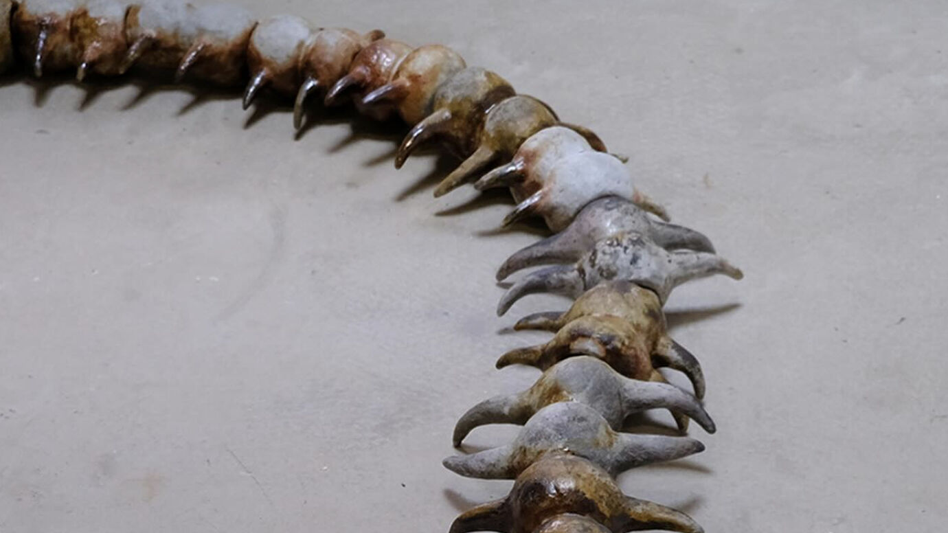 Aëla Maï Cabel und Jérémy Piningre, ohne Titel, 2025, Keramik glasiert Foto: Aëla Maï Cabel und Jérémy Piningre