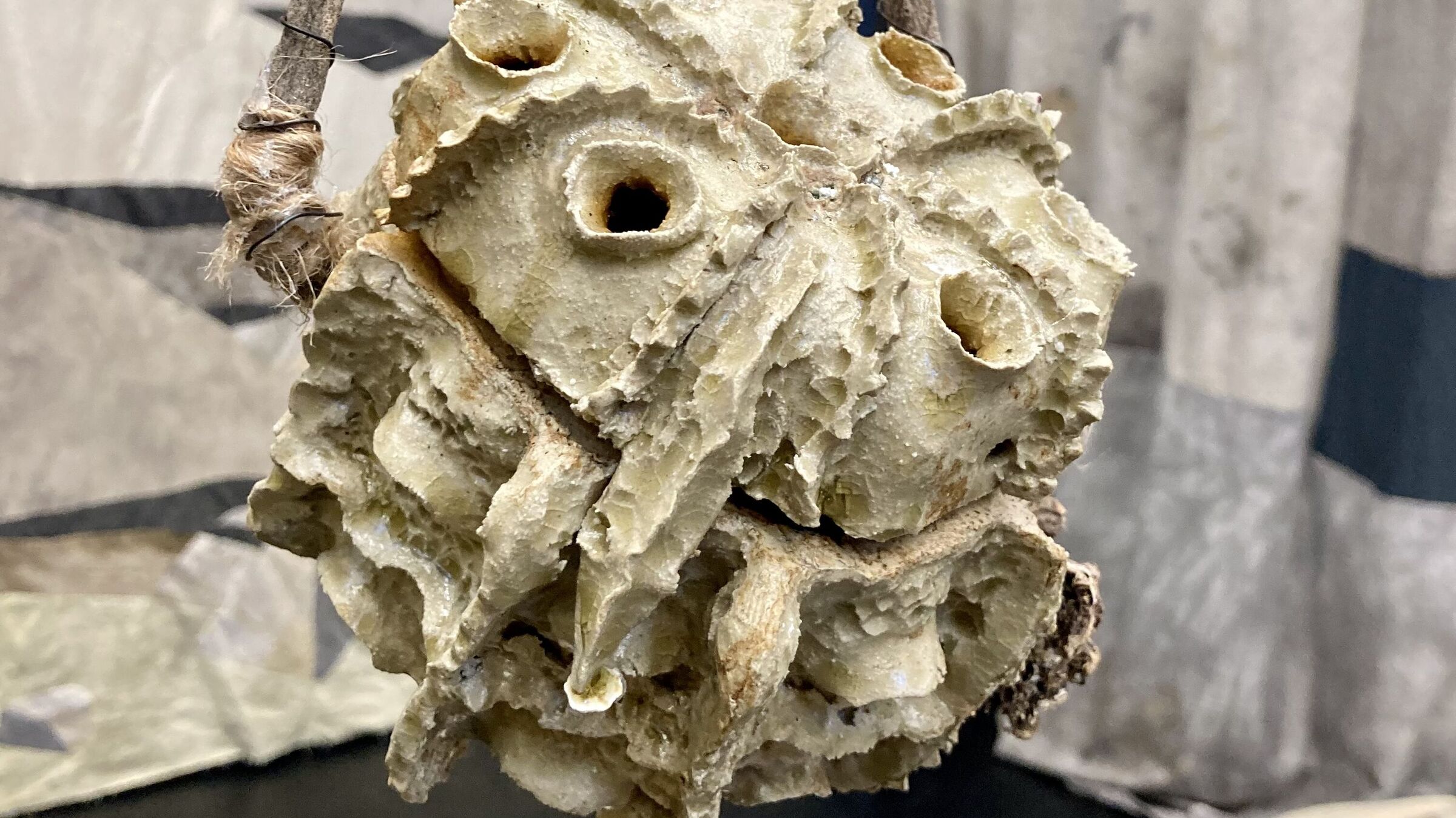 Pauline Marx, Räucherschale, 2025, Keramik und diverse Materialien, Ausstellung «Liminale laminaire» (2025), La Gare, Centre d'art et de design, Brest. Foto: Michael Hiltbrunner