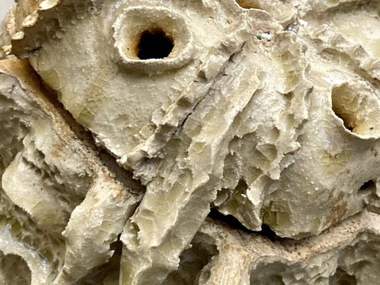 Pauline Marx, Räucherschale, 2025, Keramik und diverse Materialien, Ausstellung «Liminale laminaire» (2025), La Gare, Centre d'art et de design, Brest. Foto: Michael Hiltbrunner