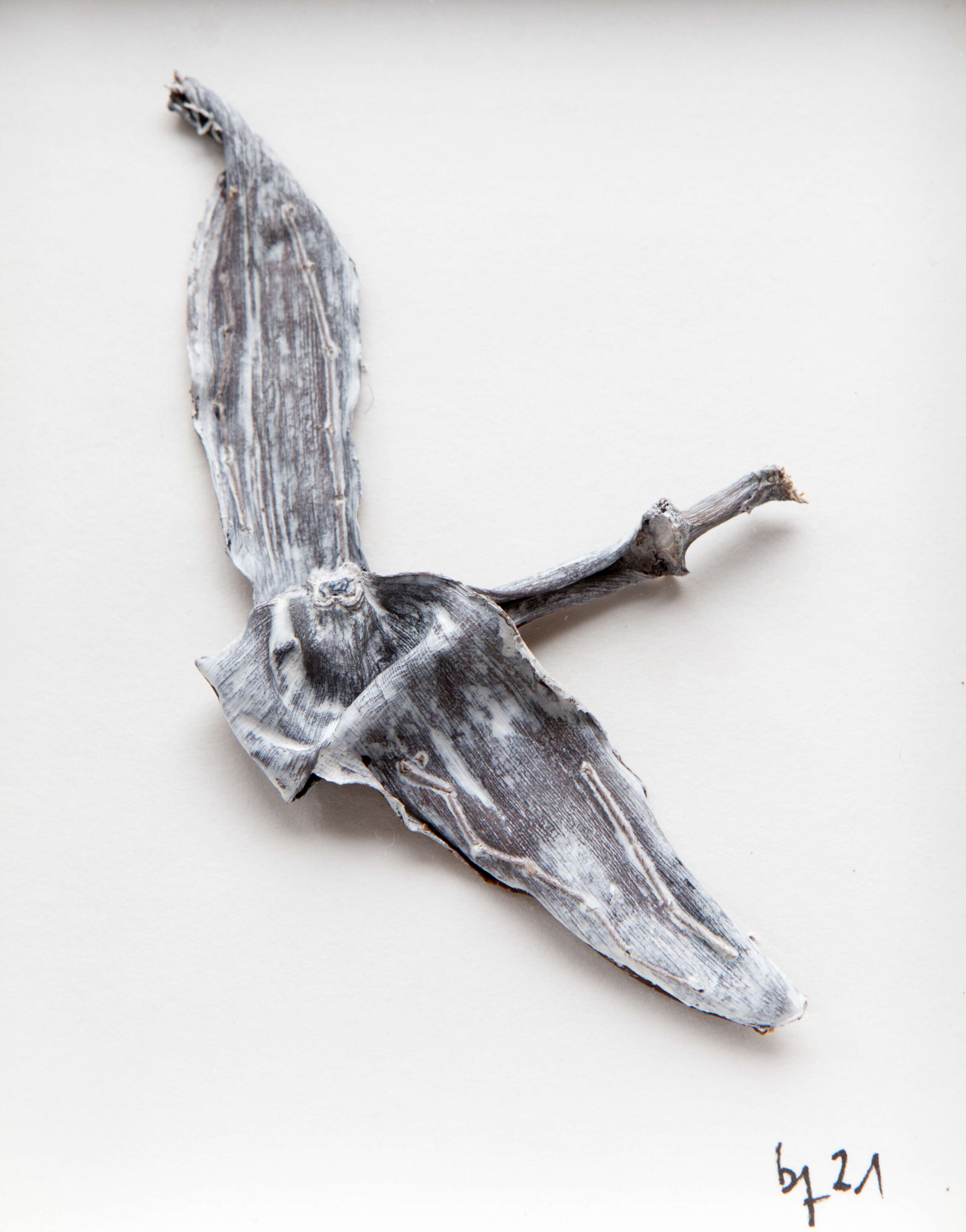 Dora Freiermuth, Équilibre, 2021, Bananenschale getrocknet, Acryl Dora Freiermuth, Équilibre, 2021, Bananenschale getrocknet, Acryl