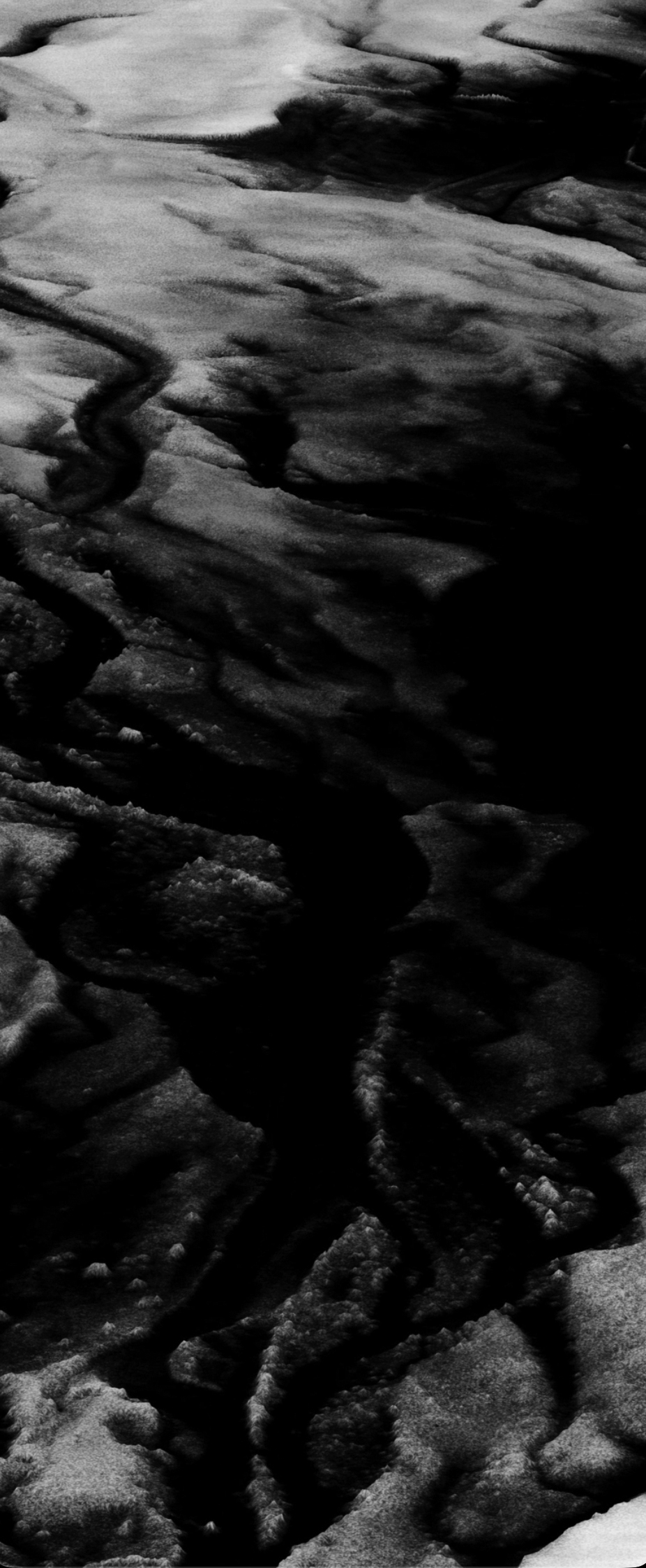 Mo Diener, Hologramm – Die Archäologin, 2026, Holographische Projektion, Stereosound, Videostill, © Mo Diener